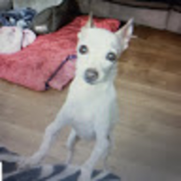 Meet your Posher, Charlene - Picture 1 of 1